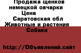 Продажа щенков немецкой овчарки  › Цена ­ 8 000 - Саратовская обл. Животные и растения » Собаки   